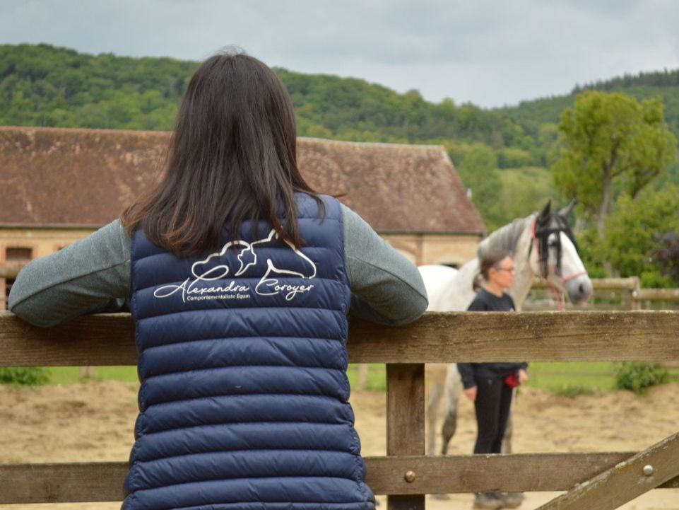 Alexandra de dos qui regarde son cheval