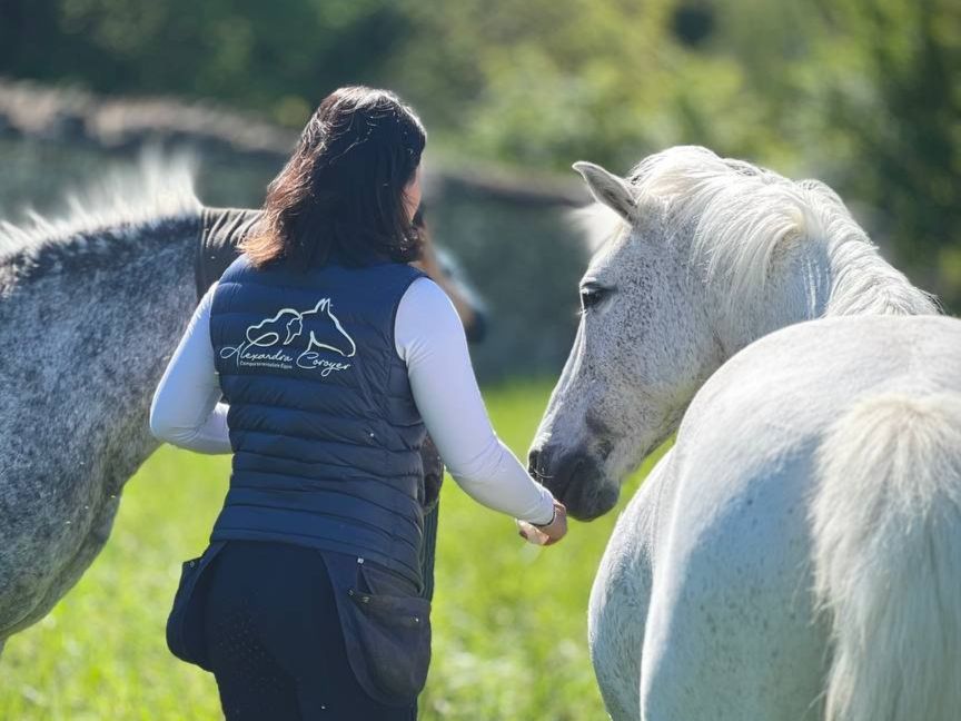 Alexandra qui nourrit un cheval en accompagnement