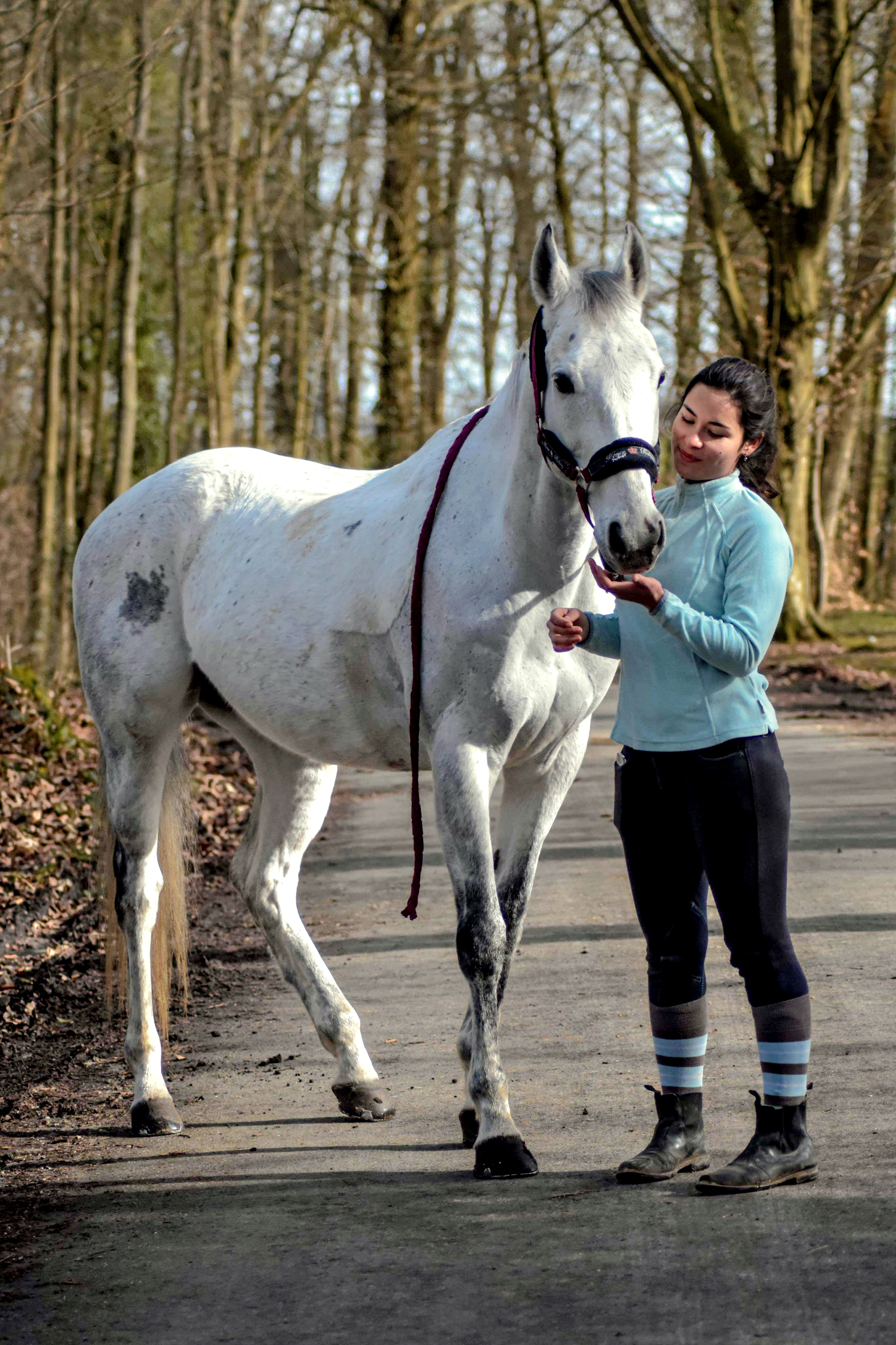 Alexandra qui applique son approche du cheval