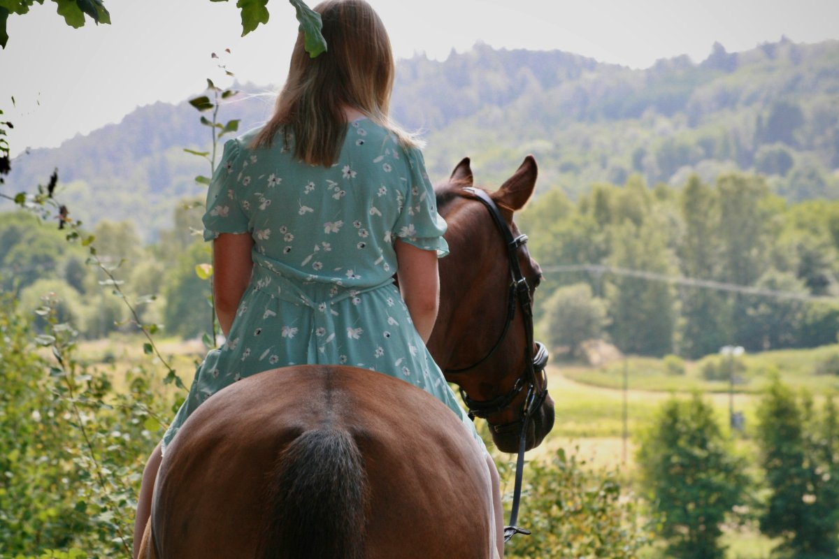Cavalier qui monte à nouveau son cheval et prend du plaisir